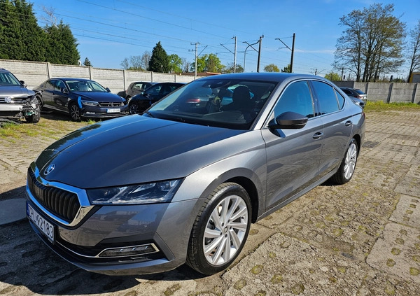 Skoda Octavia cena 134999 przebieg: 7170, rok produkcji 2023 z Brwinów małe 301